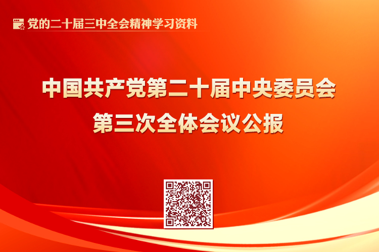 无码中文av