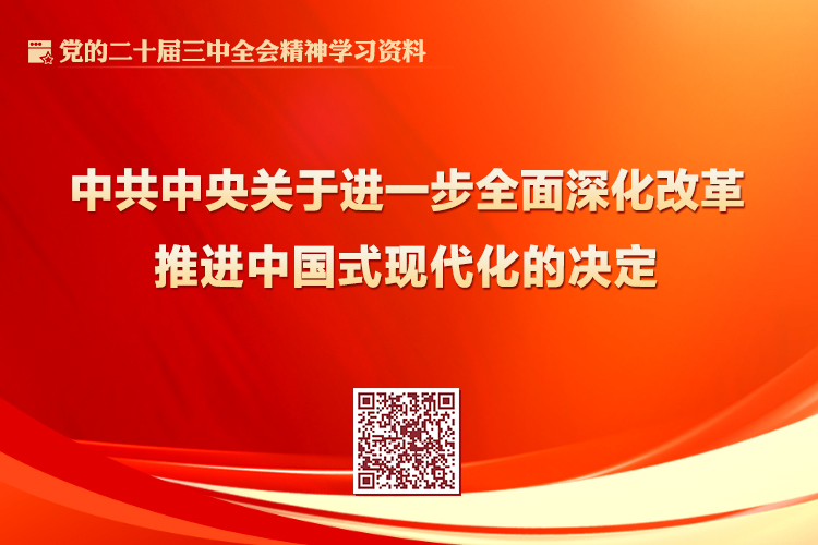 无码中文av