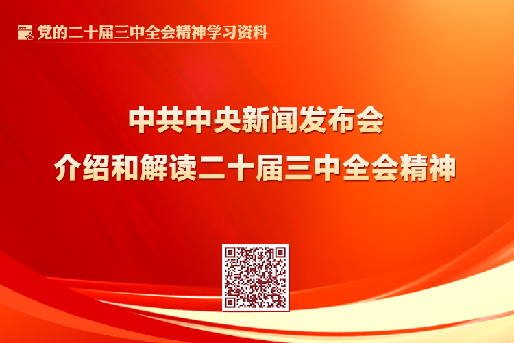 无码中文av