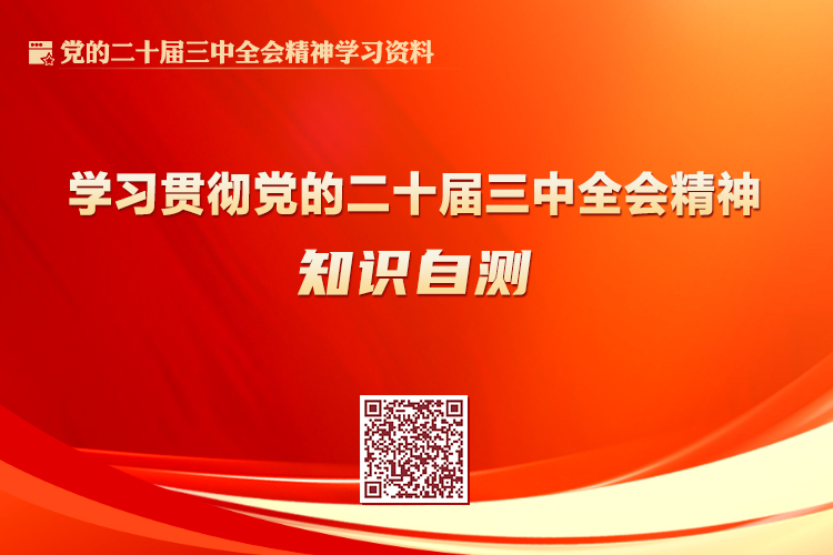 无码中文av