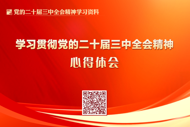 无码中文av