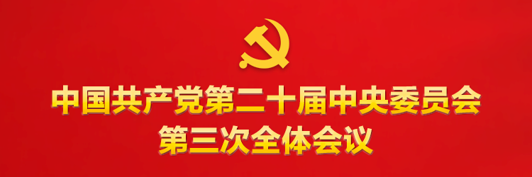 无码中文av