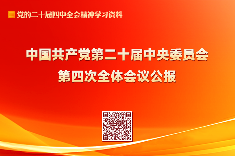 无码中文av