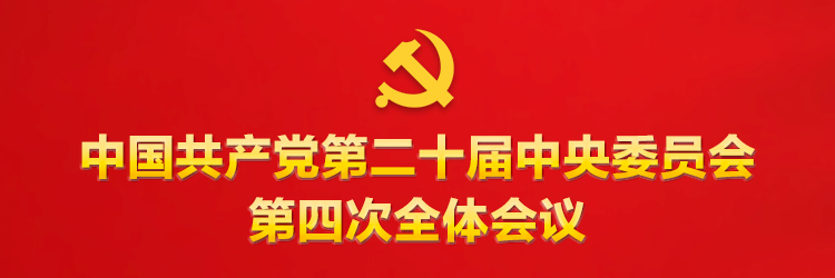 无码中文av