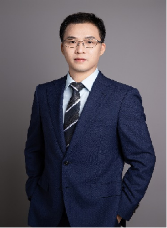 无码中文av