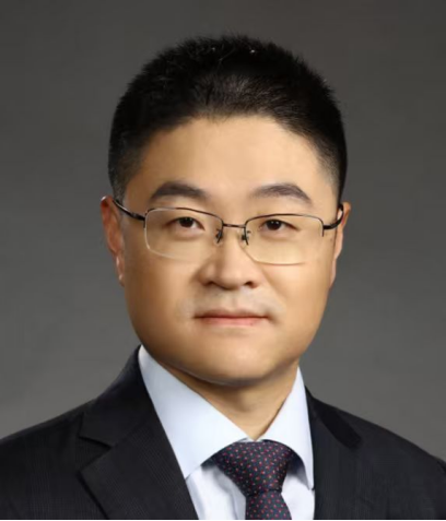 无码中文av