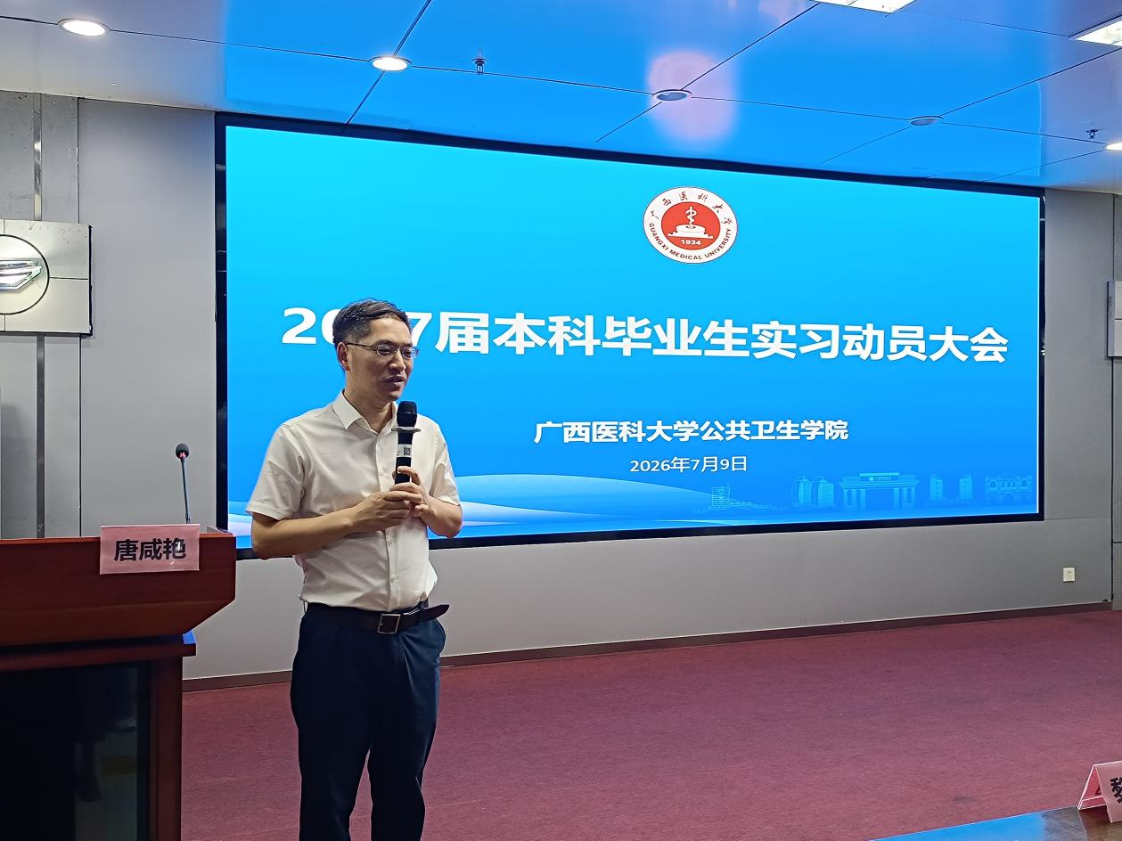 无码中文av